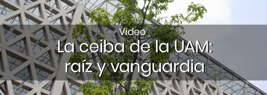 La ceiba de la UAM. Video